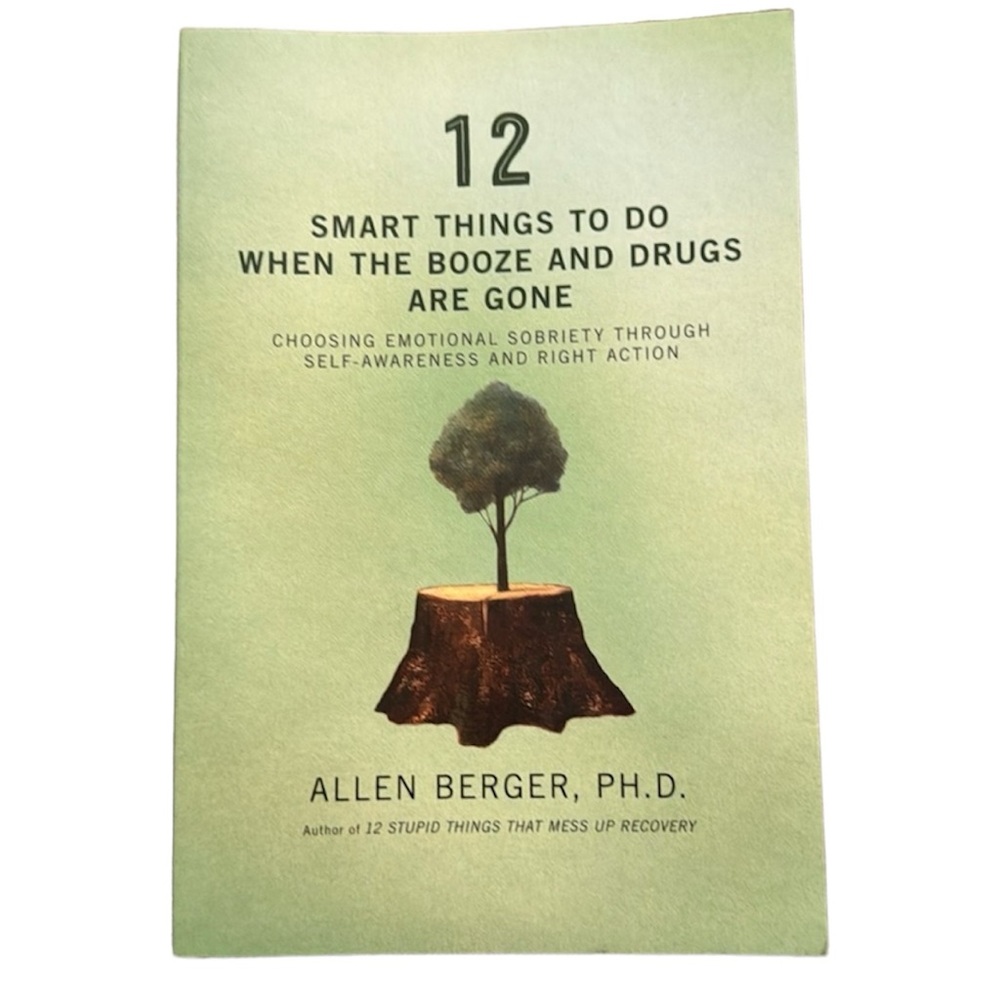 🔴 5/$25 Books 📖 12 Smart Things to Do When the Booze and Drugs Are Gone